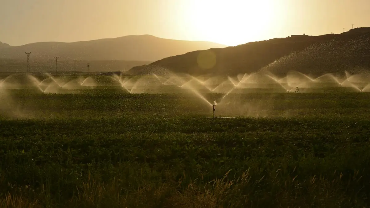 Agrivate: Εξατομικευμένος Αλγόριθμος για Αποτελεσματική Φυτοπροστασία
